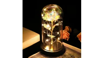 Galaxy Rose for Women, Glass Dome Rainbow Eternal Rose Gift1