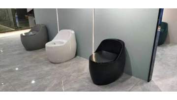 wall hung toilet4.26
