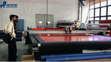Cold storage door curtain
