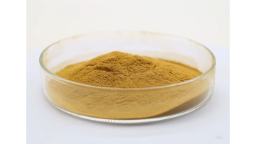 Spinach powder