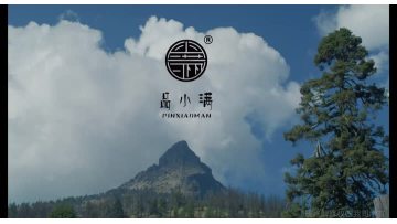 tea culture green