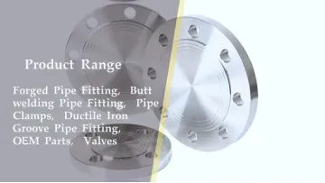 Stainless Steel Pipe Flange Ss321 Pn16/25/40 Blind (BL) Type Heat-Treated Flanges1