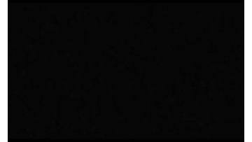 company profile
