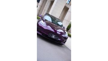 LM89-P Liquid Metal Deep Purple