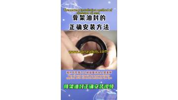 Oil cylinder tightening oil seal (85)