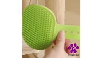 Pet silicone bath brush