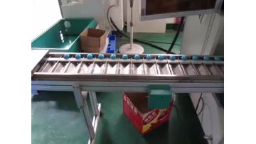 SR818-D small jar screen printing
