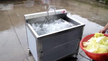 TS-AZA Large Automatic Commercial Vegetable Washer