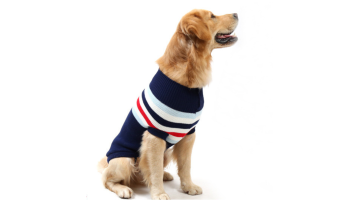 pet clothing for big dogs
