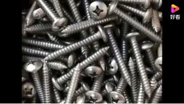 PAN head self tapping screw