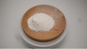 Bifidobacterium powder