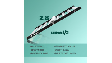 1000W Grow Light