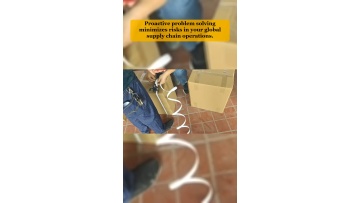 Video 95