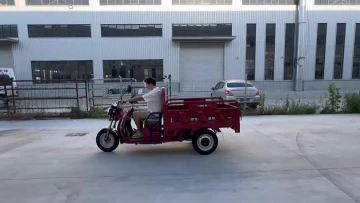 three wheel electric vehicle