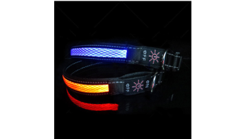 LED collar