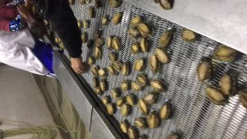 iqf abalone feeding