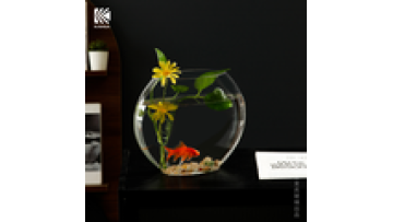 Crystal Flat Mouth Goldfish Aquarium Ornament Vase1