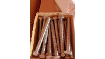 hex bolt11