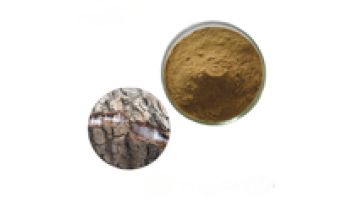 EU Organic China Product Eucommia Ulmoides Oliver Extract1