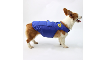 dog clothing
