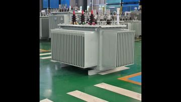 Oil immersible transformer