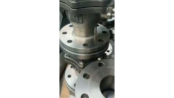 titanium valves