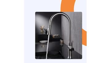 Pull Out Kitchen Faucet - DL-12030LS