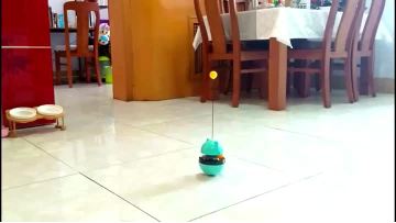 Interesting cat toys