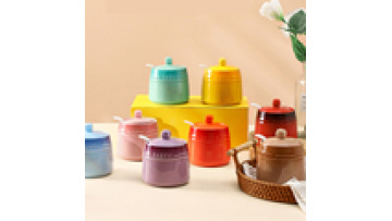 Wholesale Ceramic Spice Container Set - Unique Design Colorful Salt Jars1