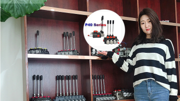 3 Spool P40 Hydraulic Directional Valve