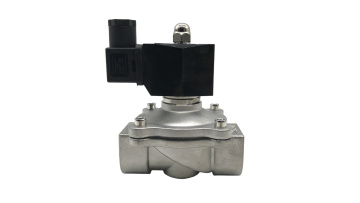 2S250-25 1'' Water Stainless Steel Solenoid Valve 12V 24V 110V 220V