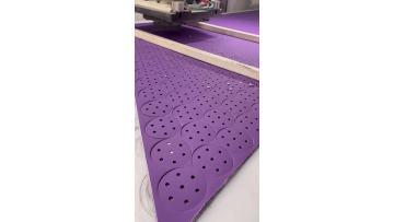 Purple sanding disc