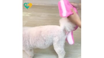dog diaper reusable