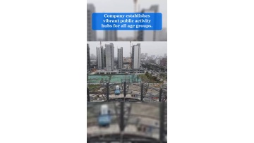 Video 39
