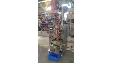 Condiment packaging machine