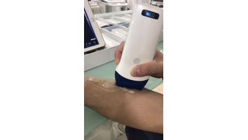 CPROBE-5L 小臂肌肉