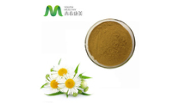 Customized Service High Quality 20:1 Chamomile Extract Powder1