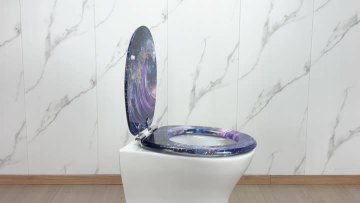 Fanmitrk Toilet Seat MDFDJ2507