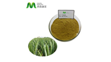 Natural Aloe Vera Extract Aleo Vera Gel 100% Pure Aloin Powder1