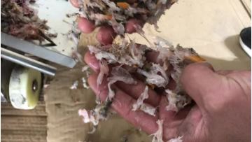 Fish Meat Separator