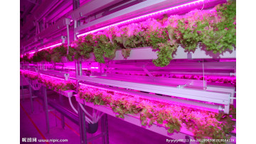 Shipping container hydroponic farm