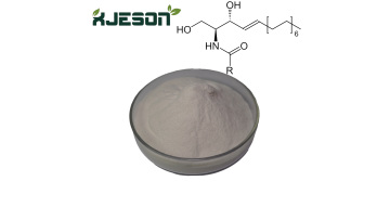 Ceramide0000