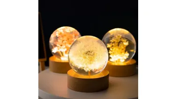 Eternal Flower Night Light, The Gift That Never Wilt1