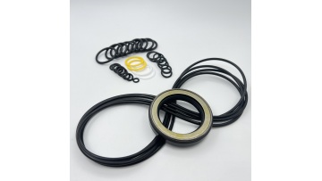 Swing Motor Seal Kit004