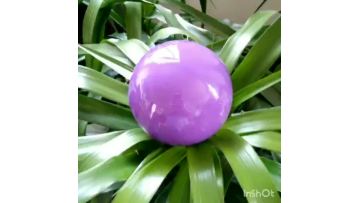 PT7678High gloss purple