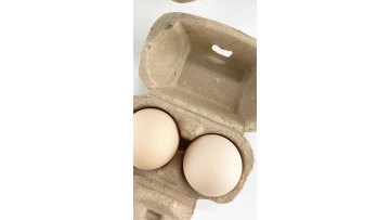 2 Holes paper egg tray pulp packing box for chicken egg packaging1