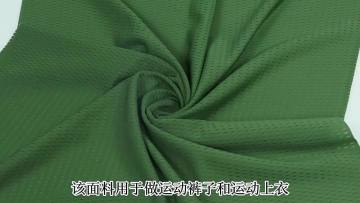 Sale 84% Nylon 16% Spandex Pinhole Birds Eye Dyed Mesh Warp Knit Quick Drying 160cm High Stretch Sports T-shirt Knitted Fabrics1