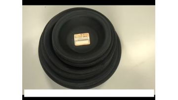 Diaphragm