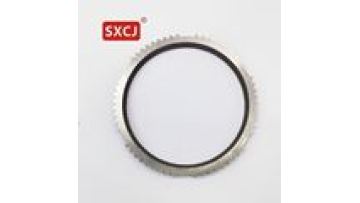 Wholesale Transmission Steel Synchronizer ring OEM 1307304181 OEM 1307304159 for ZF1
