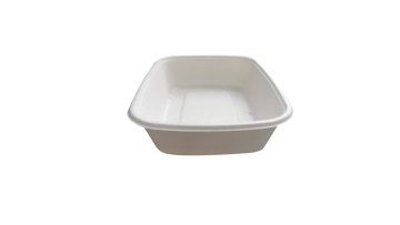 8x6 inch bagasse tray